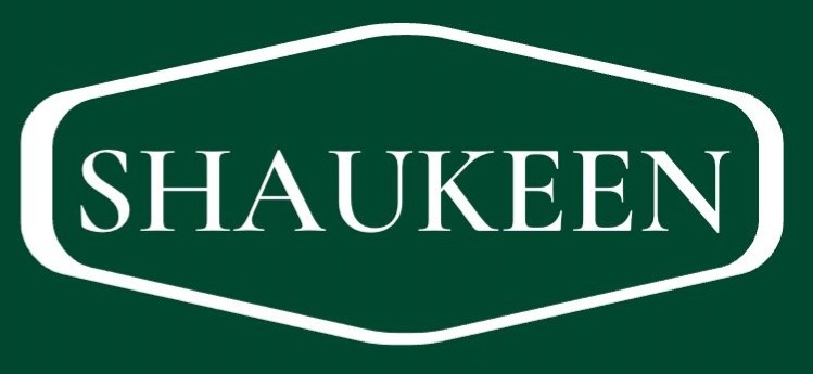 Shaukeen Logo